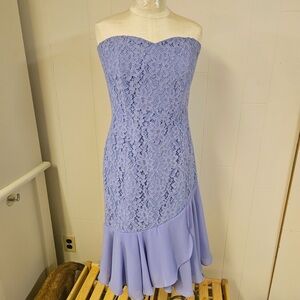 Elegant Lavender Lace Strapless Dress
